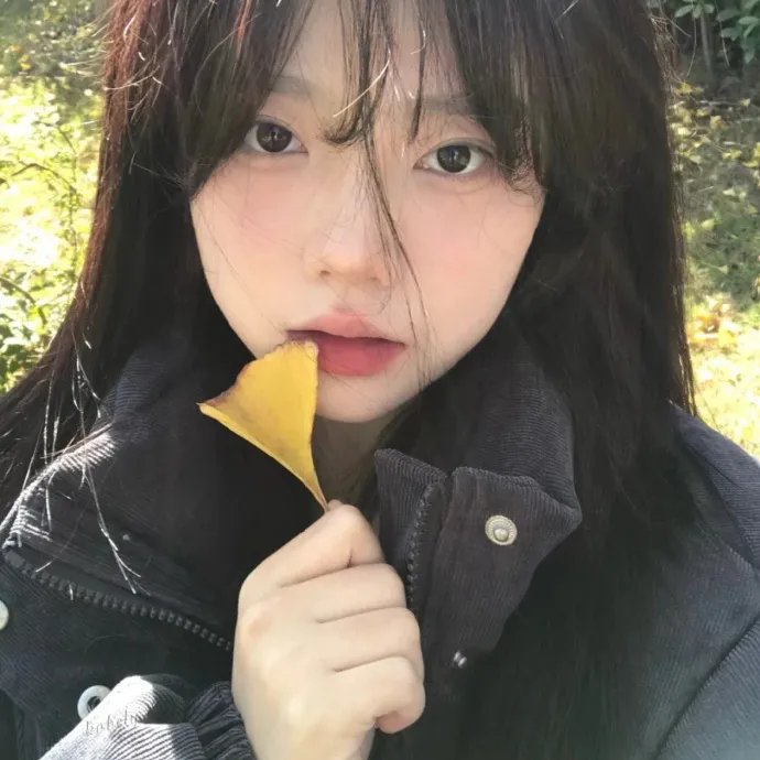 最后的日出